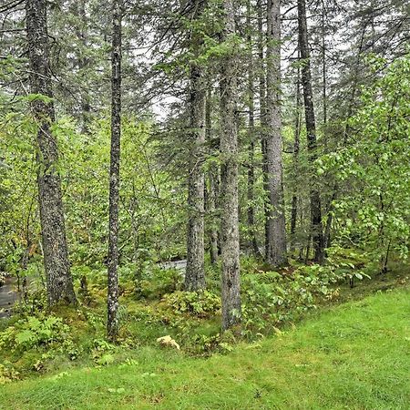 Apartamento Creekside Seward Cabin With Bbq Fire Pit On 3 Acres! Exterior foto