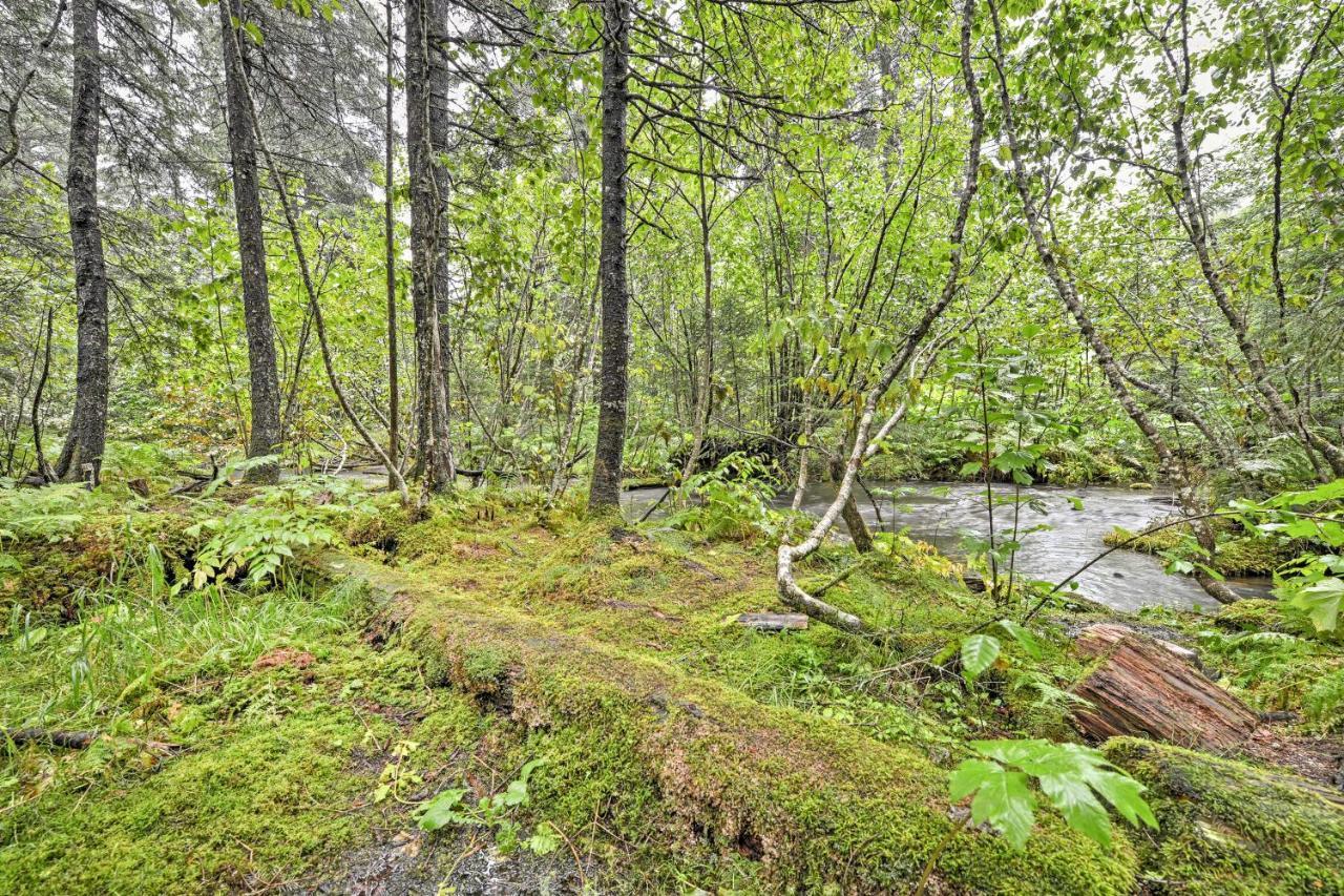 Apartamento Creekside Seward Cabin With Bbq Fire Pit On 3 Acres! Exterior foto